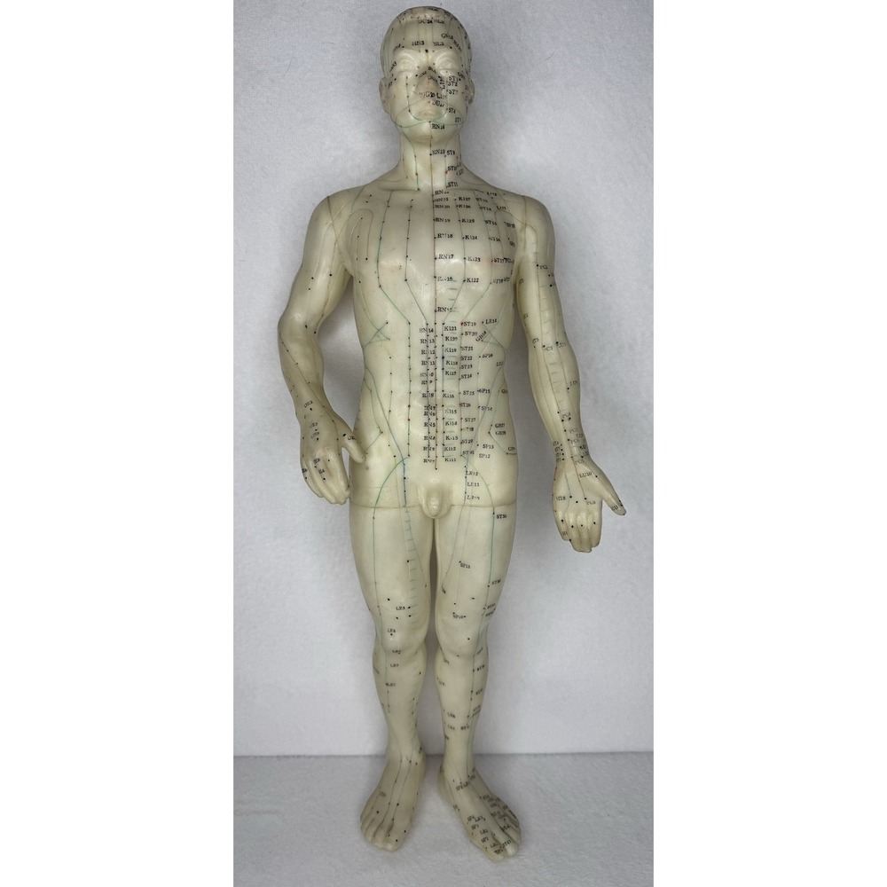 Vintage Acupuncture Anatomical Male Model‎ TCM Meridian Points Figure